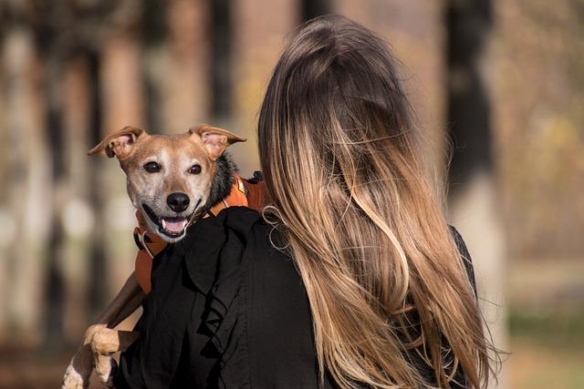 Zkušenosti majitelů‌ a jejich doporučení na konkrétní modely