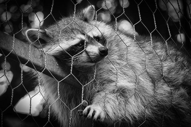 Závěr a shrnutí důležitých kroků a tipů