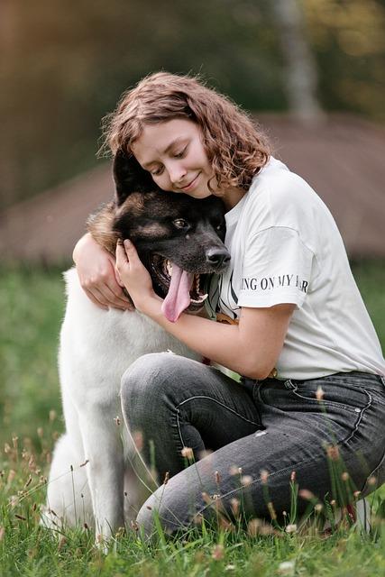 Zkušenosti majitelů a tipy pro stabilní provoz