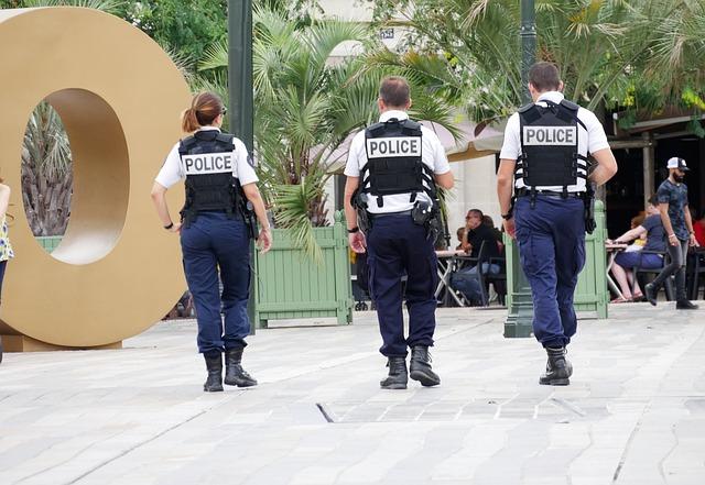 Jaká je role policisty a strážníka v rámci autoškoly