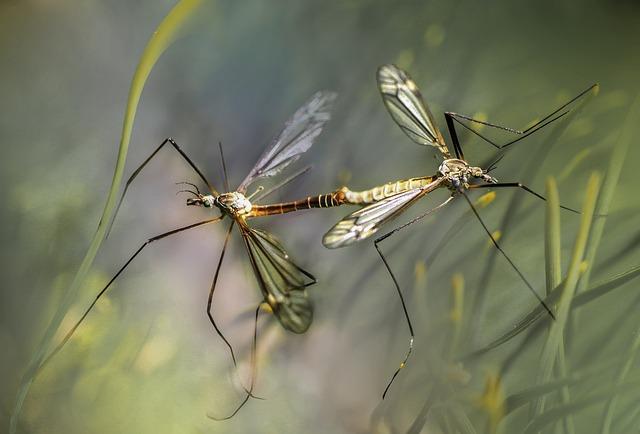 Důležitost správné instalace spojky