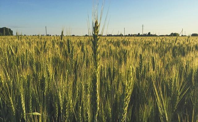 Krok za krokem: Jak správně demontovat kolo a brzdový systém