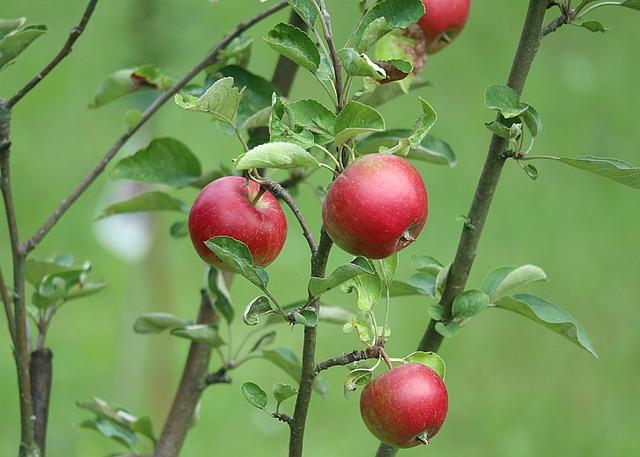 Příprava ⁤na zkoušku: Jak se důkladně připravit