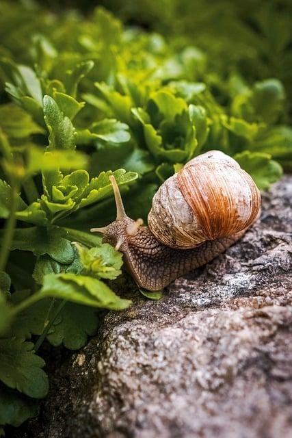 Nejčastější problémy spojené s horním krytem a jejich řešení