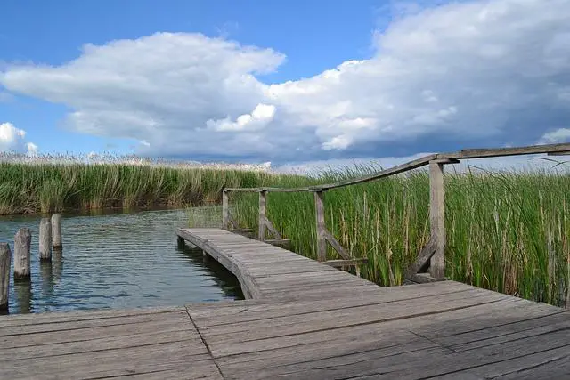 Jak efektivně využít promo akce a události