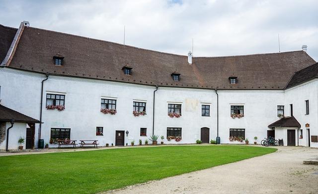 Podpora a zdroje pro nové řidiče po získání řidičáku