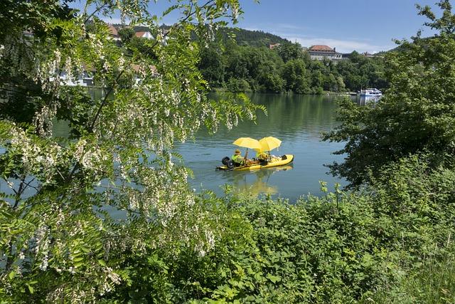 Co je to pedal asistent PAS a jak funguje