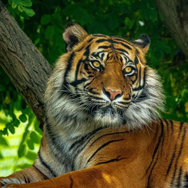 Doporučení pro údržbu a péči o Fabii Ambiente