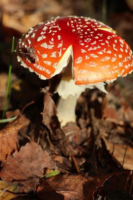 Bezpečnostní rizika spojená s výstupem a nástupem